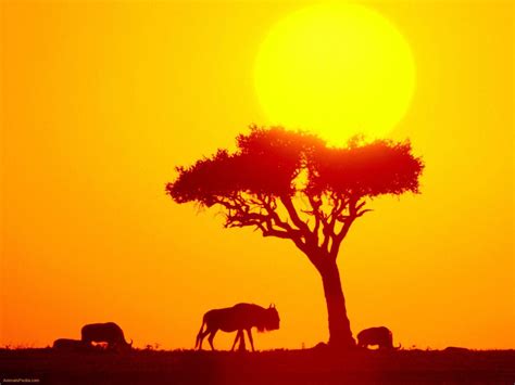 african background pictures